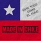 Rock de Pudahuel - Made In Chile lyrics