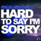 Hard to Say I'm Sorry (DJ Blackstone Remix) - Aquagen lyrics
