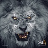 K CAMP - Racks Like This