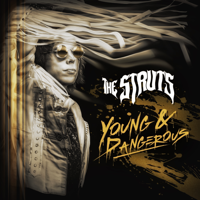 The Struts - Somebody New artwork