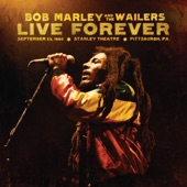 Bob Marley - Is This Love