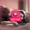 Modo Avion - Little Baby lyrics