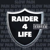 Raider 4 Life artwork