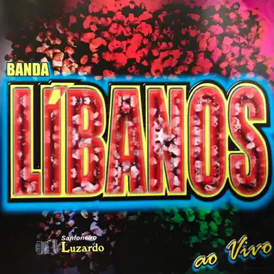 Sanfoneiro Luzardo (Ao Vivo) - Banda Líbanos