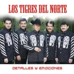 Detalles y Emociones - Los Tigres del Norte