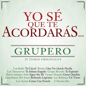 Yo Sé Que Te Acordarás - Grupero