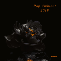 Various Artists - Pop Ambient 2019 (DJ Mix) artwork