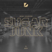 Sugar Junk (Extended Mix) artwork