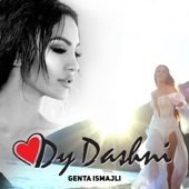 Dy Dashni artwork