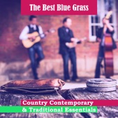 The Best Blue Grass: Country Contemporary & Traditional Essentials – Soulful Songs, Restful Time, Drinkin Bar, Ultimate Blues & Country Mix artwork
