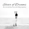 Elixir of Dreams: Activating Lucid Dreaming - Relaxing Vibes, Hypnosis for Conscious State, Harmonious Sleep Music album lyrics, reviews, download