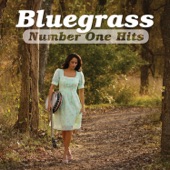 Rhonda Vincent - Kentucky Borderline