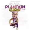 Plantain - Single album lyrics, reviews, download