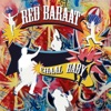 Red Baraat - Mehndi Laga Ke Rakhna (feat. Sunny Jain, dave smoota smith, Tomas Fujiwara, MiWi La Lupa, John Altieri, Mike Bomwell, Rohin Khemani, Sonny Singh & Arun Luthra)