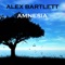 Amnesia (Flutlicht vs. S.H.O.K.K. Mix) - Alex Bartlett lyrics