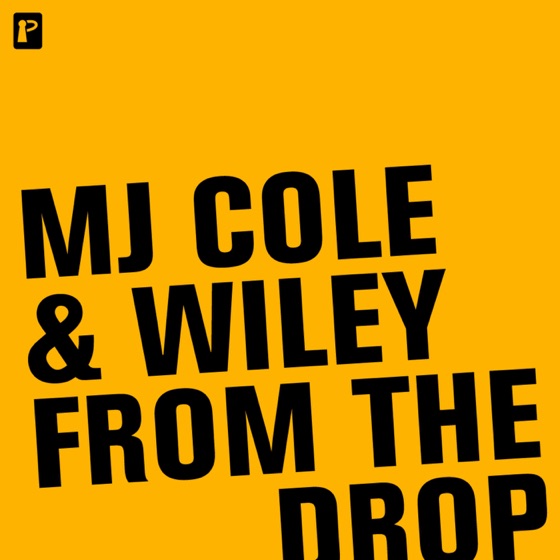 Cover artwork for From the Drop