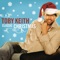 The Christmas Song - Toby Keith lyrics