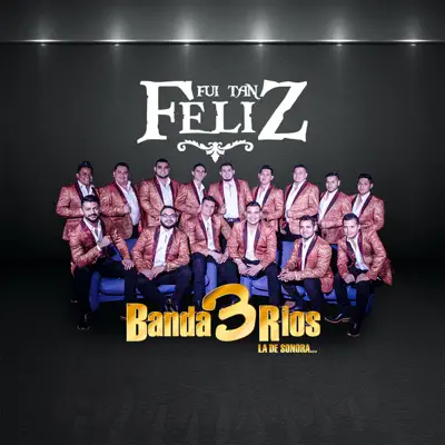 Fui Tan Feliz - Single - Banda 3 Rios