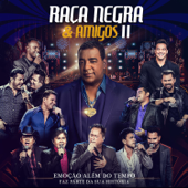 Raça Negra e Amigos II (Ao Vivo) - Raça Negra