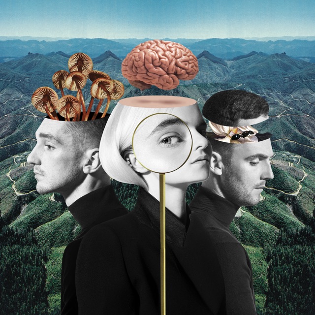 Clean Bandit What Is Love? Album Cover