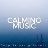 Calming Music: Deep Relaxing Sounds, Balanced Life, Better Concentrarion, Meditative Power, Inner Therapy artwork