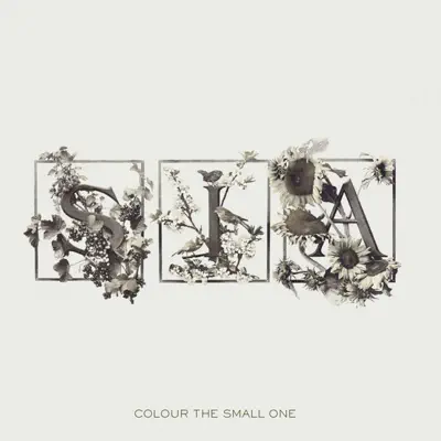 Colour the Small One (Bonus Track Version) - Sia
