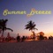 Summer Breeze - Radio Waves lyrics