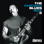 The Chicago Blues Box 2, Vol. 7 (feat. Louis Myers, Dave Myers & Freddie Below) - The Aces