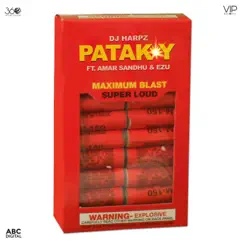 Patakay (feat. Amar Sandhu & Ezu) - Single by DJ Harpz album reviews, ratings, credits