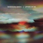 Mimicking Birds - Belongings