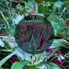 Wintermute - Flashback (feat. Ivo)
