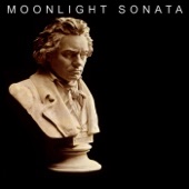 Piano Sonata No. 14 in C-Sharp Minor, Op. 27, No. 2 "Moonlight": I. Adagio Sostenuto artwork