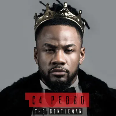 Quero Mais Love - Single (feat. Stonebwoy) - Single - C4 Pedro