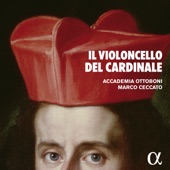 Il violoncello del Cardinale artwork