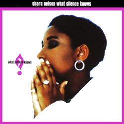 Shara Nelson - Down That Road