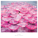 Ref:Rain - Aimer