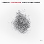 Evan Parker & The Transatlantic Art Ensemble - Furrow 6