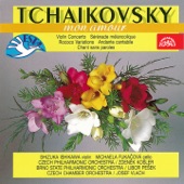 Tchaikovsky, mon amour artwork
