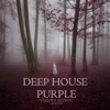 Deep House Purple