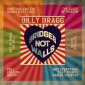 Billy Bragg - The Sleep of Reason