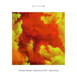 Thomas Feelman - Never Stop