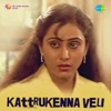 Kattrukenna Veli (Original Motion Picture Soundtrack) - EP