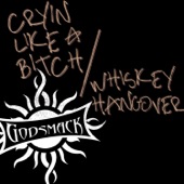 Godsmack - Cryin' Like a Bitch!!