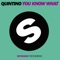 You Know What (Leroy Styles Remix) - Quintino lyrics
