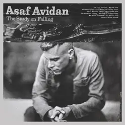 The Study on Falling - Asaf Avidan