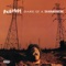 A Million And 1 Buddah Spots - Redman lyrics