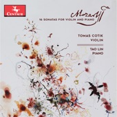 Violin Sonata No. 18 in G Major, K. 301: II. Allegro artwork