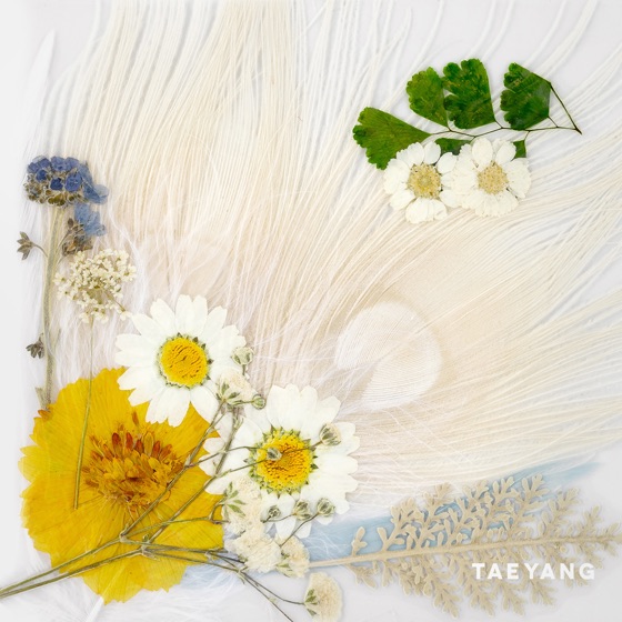 Cover artwork for EMPTY ROAD