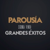 Segunda Venida (Grandes Exitos) artwork