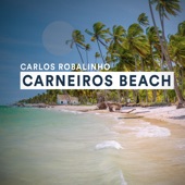 Carneiros Beach artwork